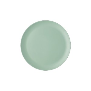 Комплект от 4 чинии за вечеря, изработени от меламин, 23 см - от Colourworks