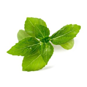 Пакет семена от босилек "Lingot" с вкус на канела - "VERITABLE"