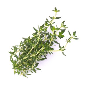 Опаковка семена от мащерка "Lingot" - Veritable