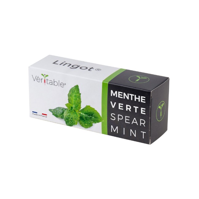 Пакет семена от мента "Lingot" - VERITABLE