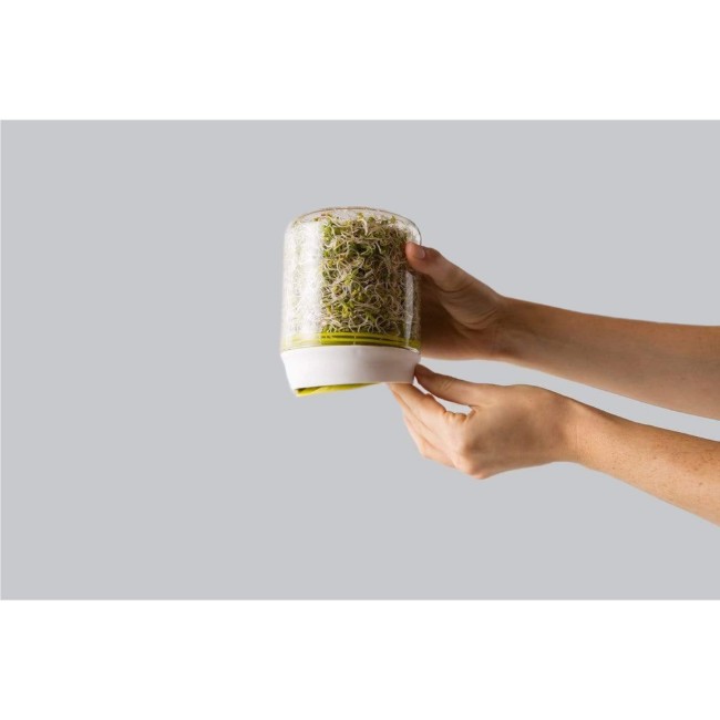 Контейнер за покълване на семена, изработен от стъкло - Chef'n