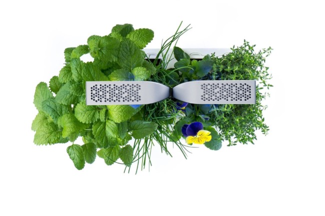 Кутия за сеялка, 33 × 18,5 × 45 cm, "SMART Garden", Arctic White - Veritable