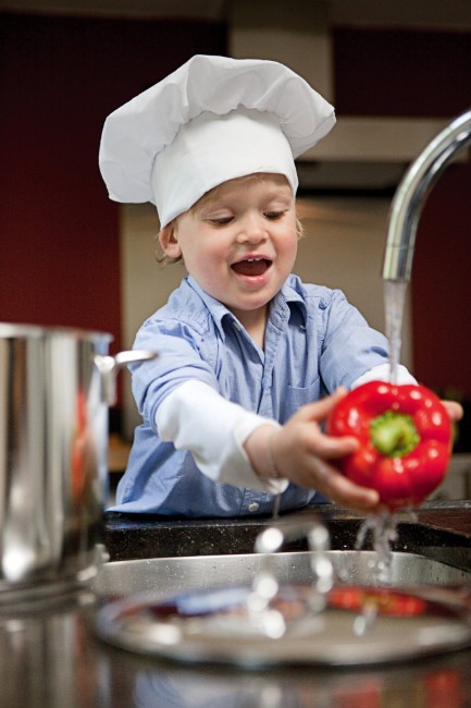 Тенджера за готвене с капак, 30 см/16 л, неръждаема стомана, "Apollo" - Demeyere