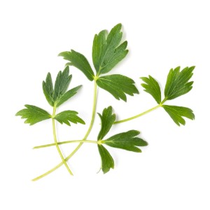Опаковка от семена “Lingot” с ловис - Veritable