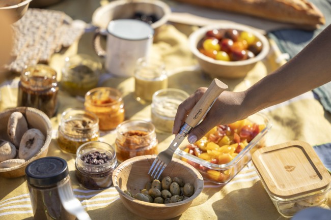 Комплект за пикник от 4 части, неръждаема стомана, "Picnic Plus" - Opinel