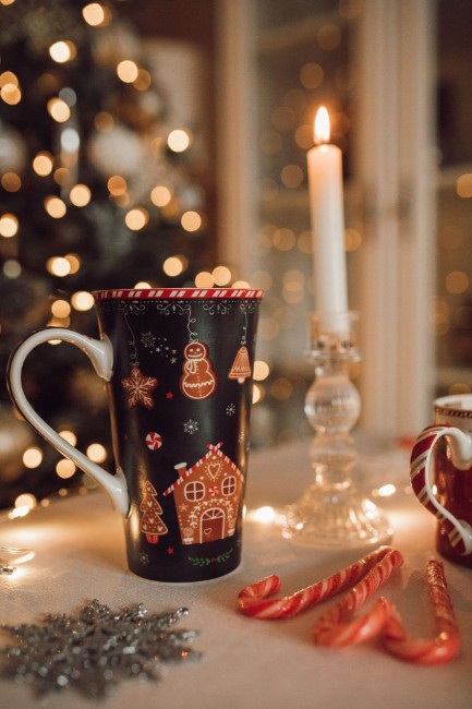 Порцеланова чаша, 600 мл, "GINGERBREAD" - марка Nuova R2S