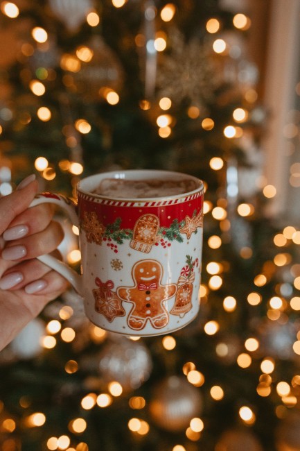 Комплект от 2 чаши, порцелан, 350 мл, "Fancy Gingerbread" - Nuova R2S