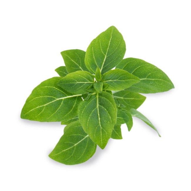 Опаковка от семена “Lingot” с босилек джудже - Veritable