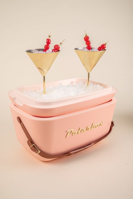 Хладилна кутия, 20 л, "Gold", Coral - Gold - Polarbox