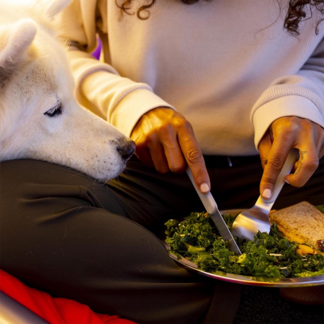 Къмпинг чиния, неръждаема стомана, 23.4 см, Birch - Hydro Flask