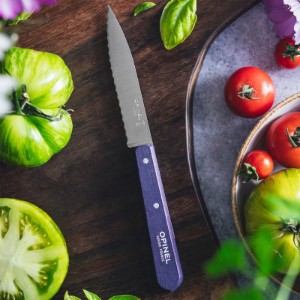 Нож с назъбено острие N°113, неръждаема стомана, 10 см, "Les Essentiels", лилаво - Opinel
