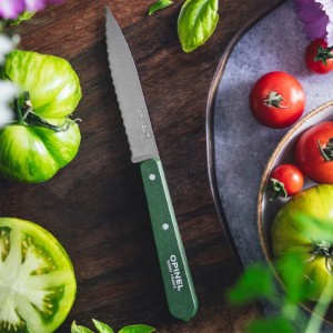 Нож с назъбено острие N°113, неръждаема стомана, 10 см, "Les Essentiels", зелен - Opinel