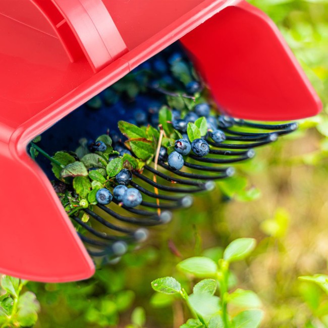 Инструмент за бране на плодове - Westmark