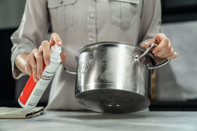 Почистващ спрей за неръждаема стомана, 250 ml, "ZWILLING Plus" - Zwilling