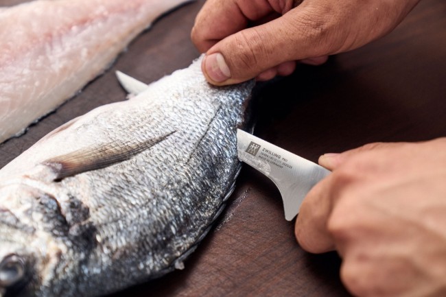 Нож за филе, 14 см, <<ZWILLING Pro>> - Zwilling