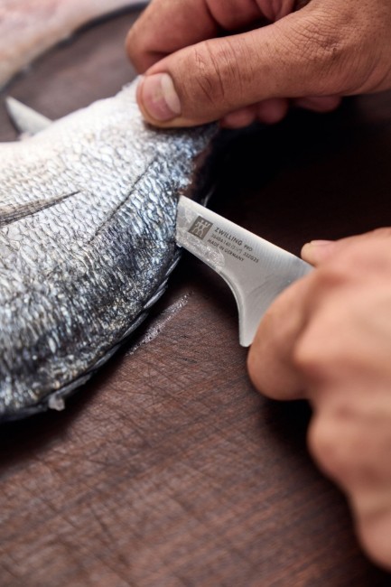 Нож за филе, 14 см, <<ZWILLING Pro>> - Zwilling